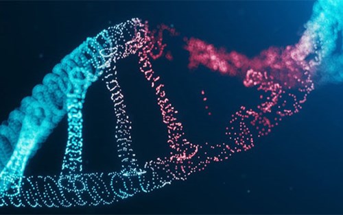 Lần đầu tiên giải mã hoàn chỉnh một bộ gen người