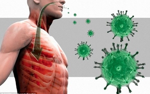 Phát hiện loại virus mới nguy hiểm không kém SARS
